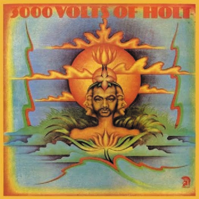 Imagen 0 de 3000 Volts Of Holt (LP-Vinilo)