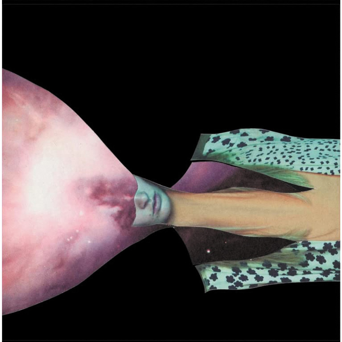 Imagem 0 de Painted Shield 2 (LP-Vinil)