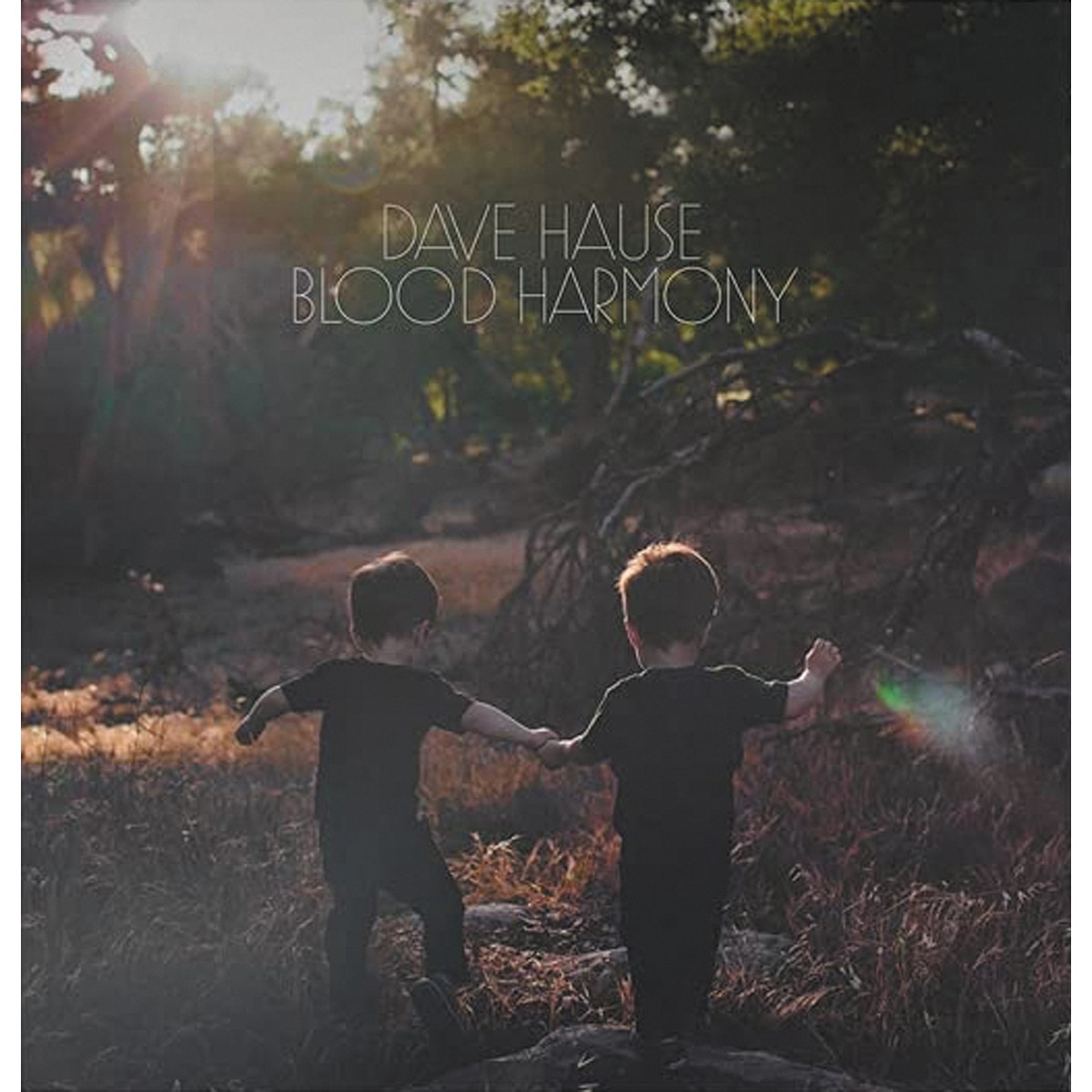 Imagem 0 de Blood Harmony (Edição Color) (LP-Vinil)