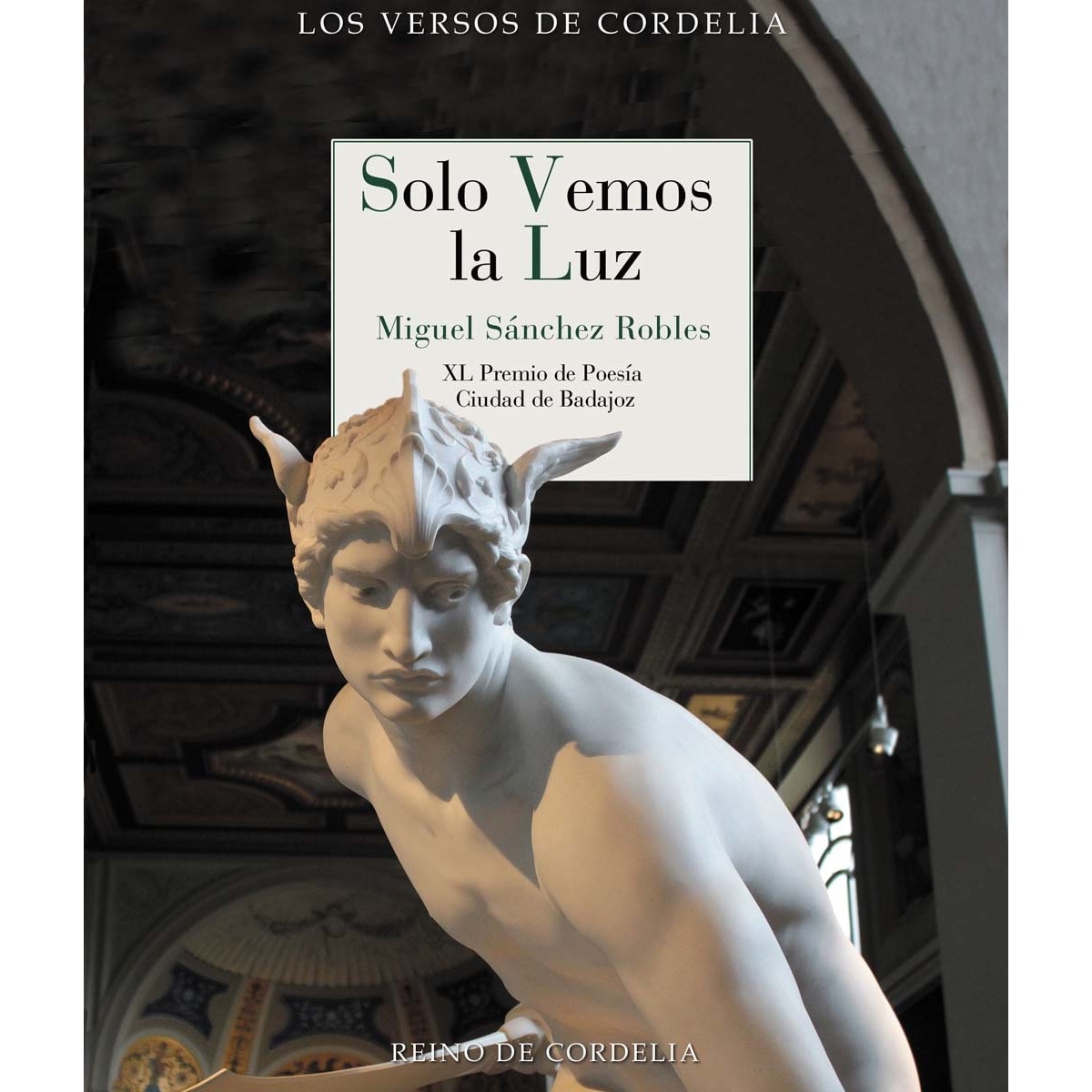 Imagem 0 de Solo vemos la luz: XL Premio de Poesía Ciudad de Badajoz (Capa mole)