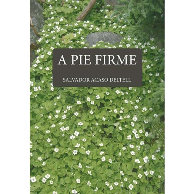 A pie firme 1