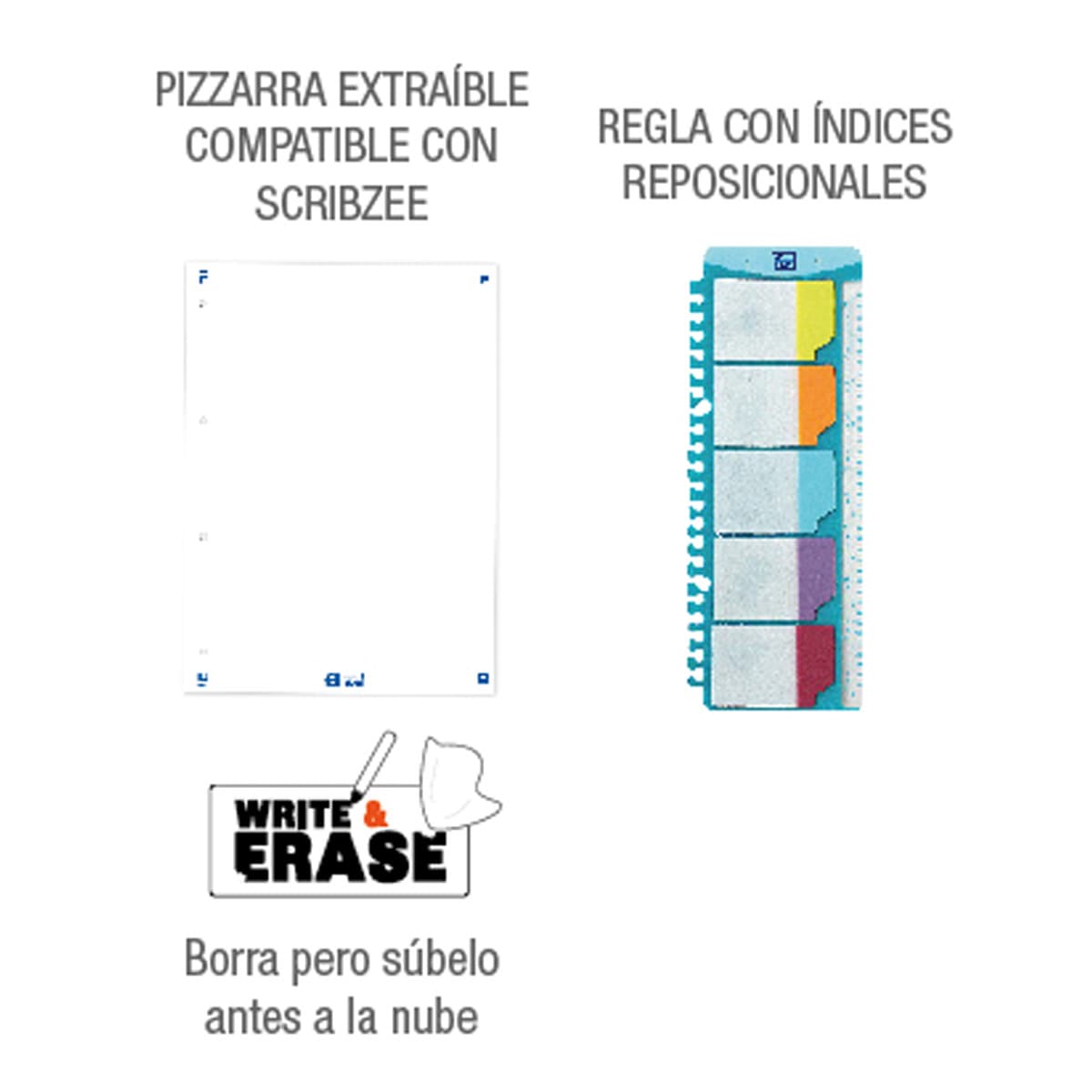 Pasta de Argolas com Recarga A4+ Capa Extradura Recarga 5x5, Lousa Write&Erase e Régua com Índices Removíveis Oxf&You - Cores Neutras Sortido-13