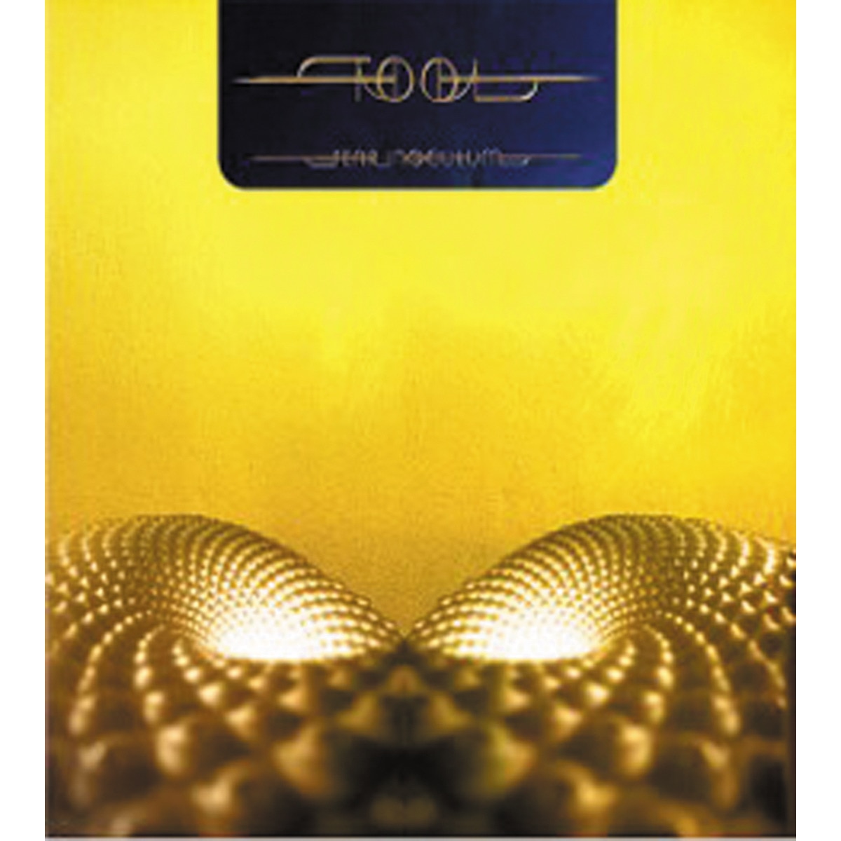 Fear Inoculum (3 LP-Vinilo 180 g) 1