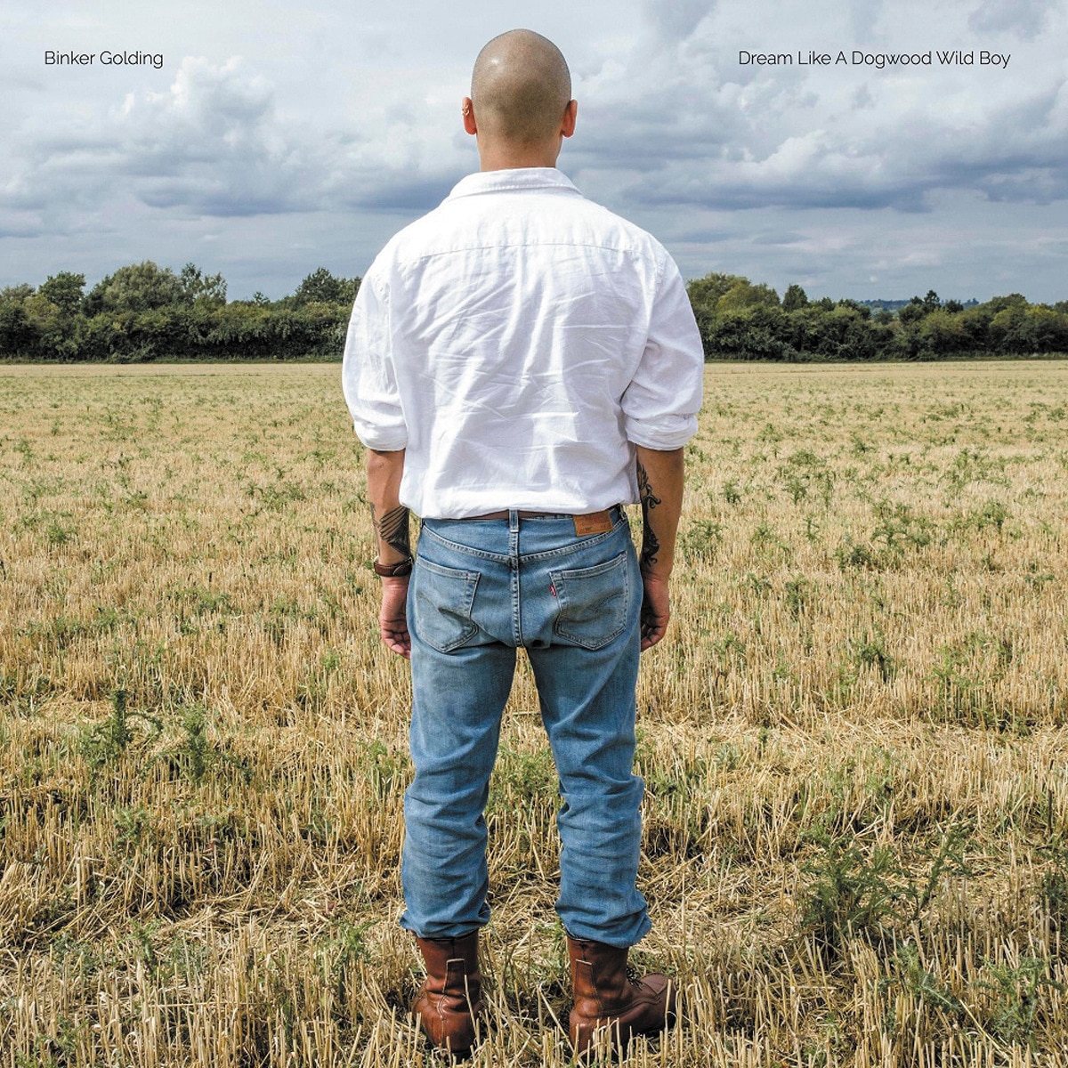 Imagem 0 de Dream like a Dogwood Wild Boy (LP-Vinil)