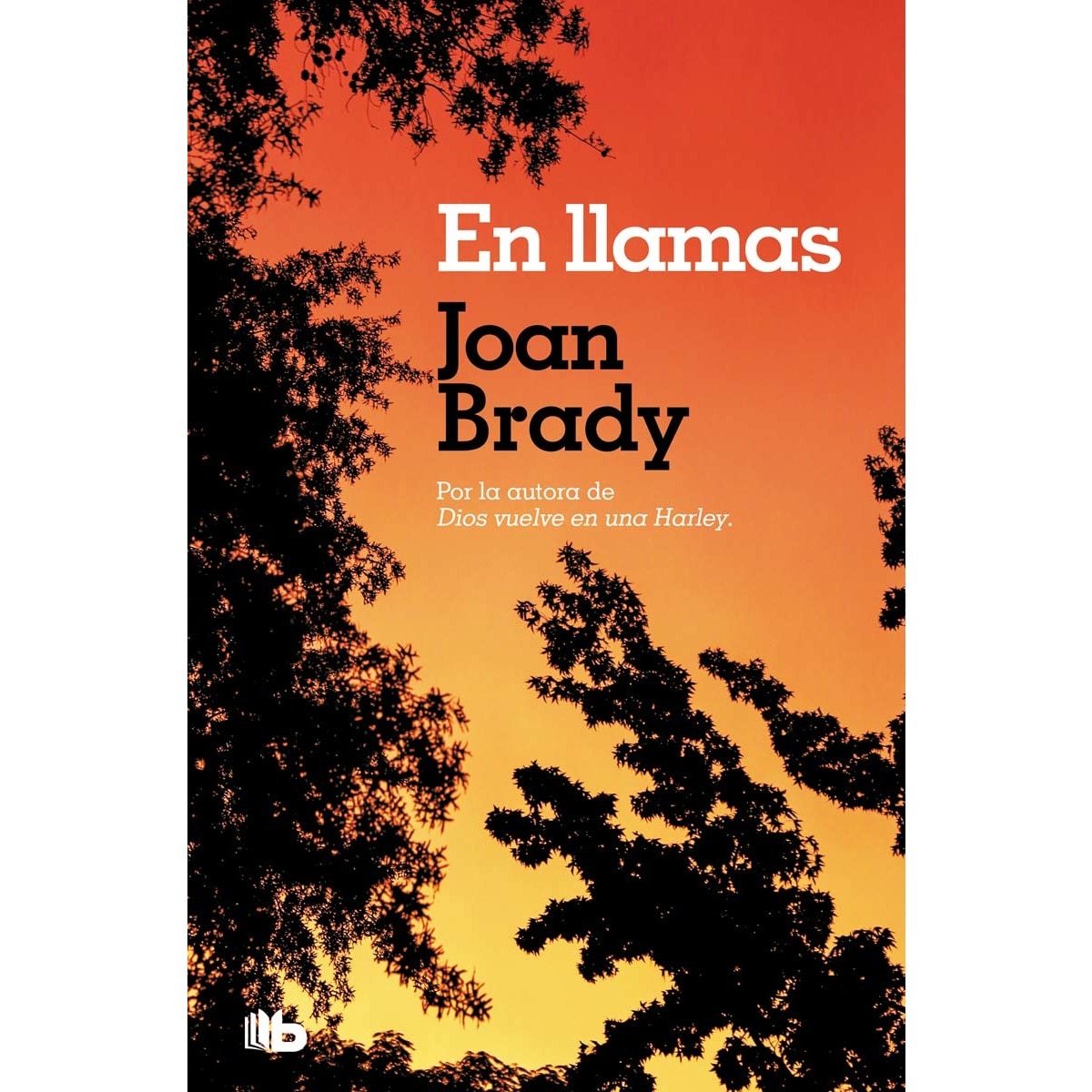 Imagen 0 de En llamas (Bolsillo) (Tapa blanda)