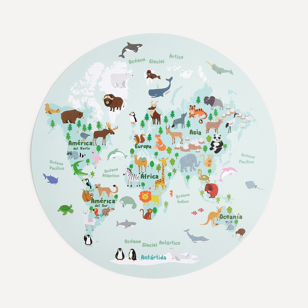 Individual Infantil Mapa Multicolor-4