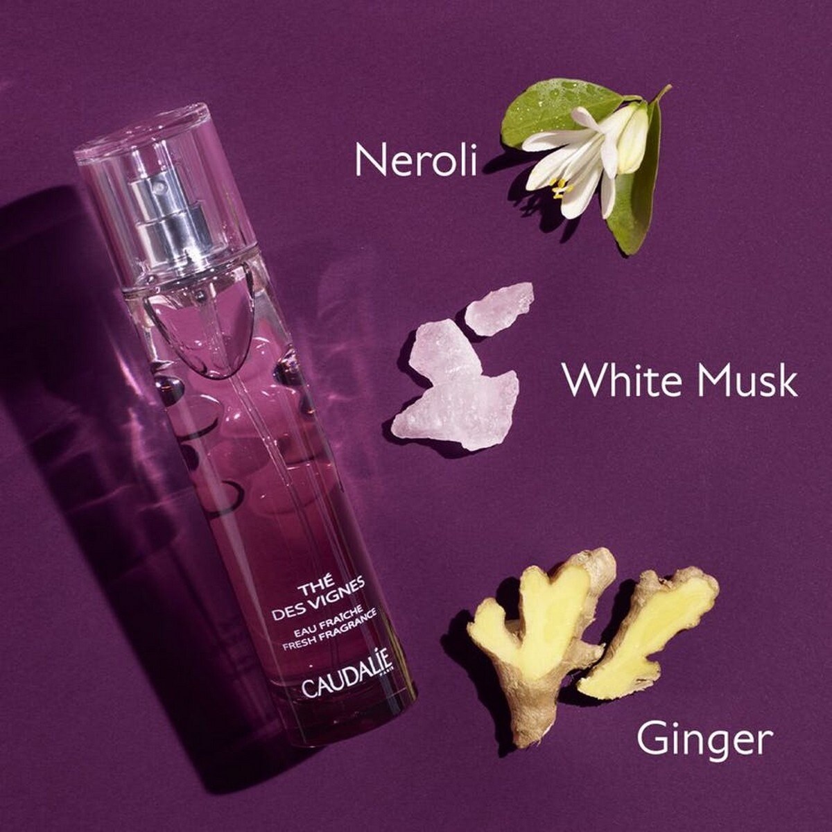 Água Fresca Thé des Vignes - 50 ml 3