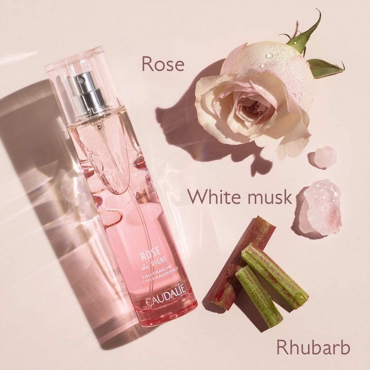 Água Fresca Rose de Vigne - 50 ml 3