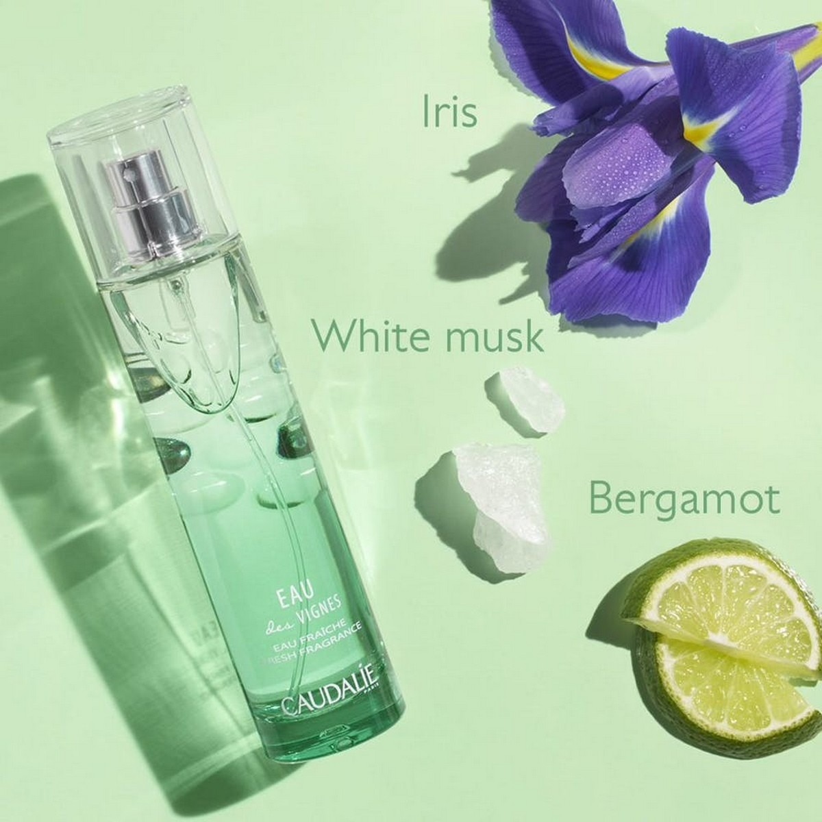 Água Fresca Eau des Vignes - 50 ml 3