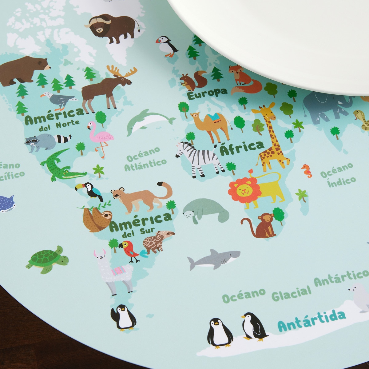 Individual Infantil Mapa Multicolor-2