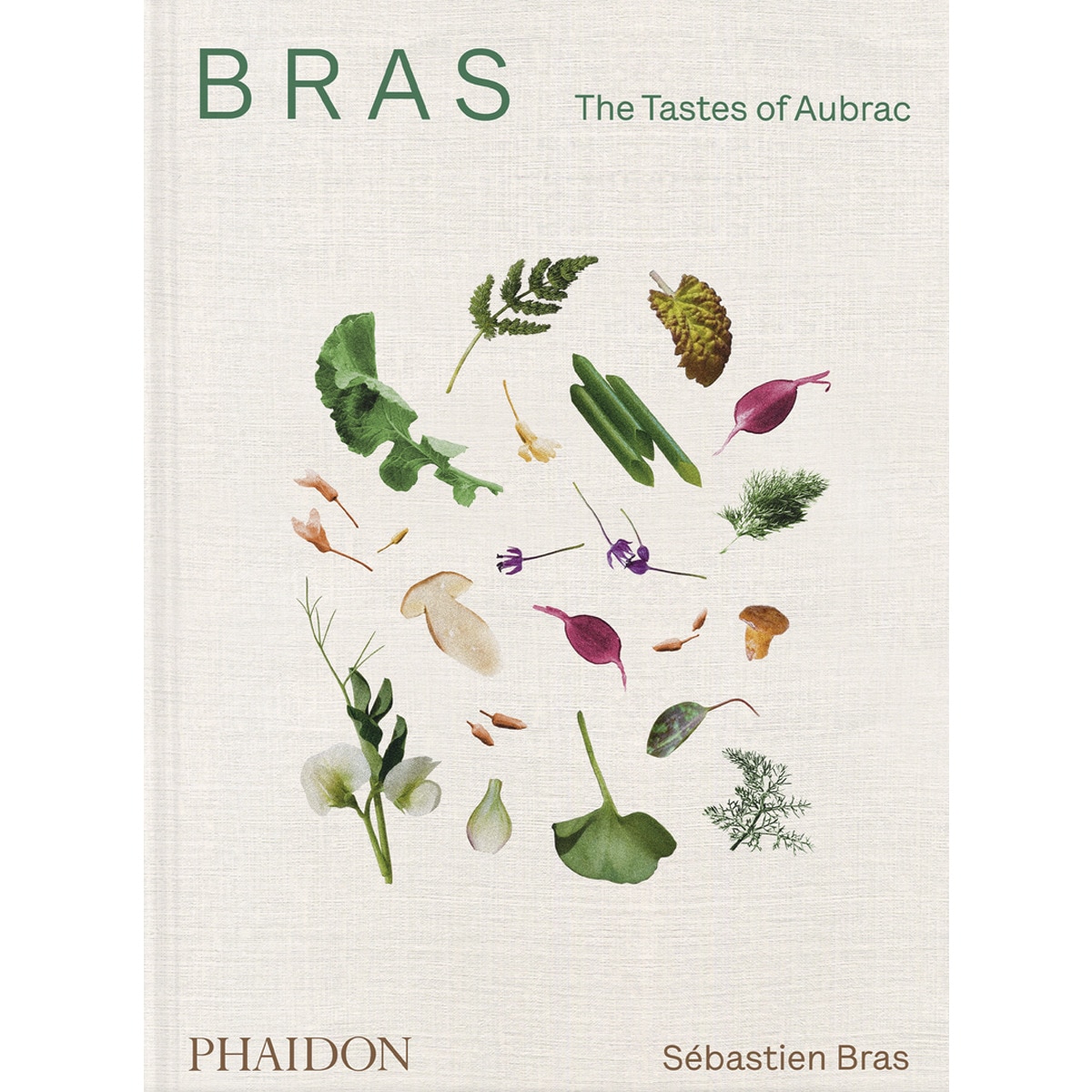 Bras 1