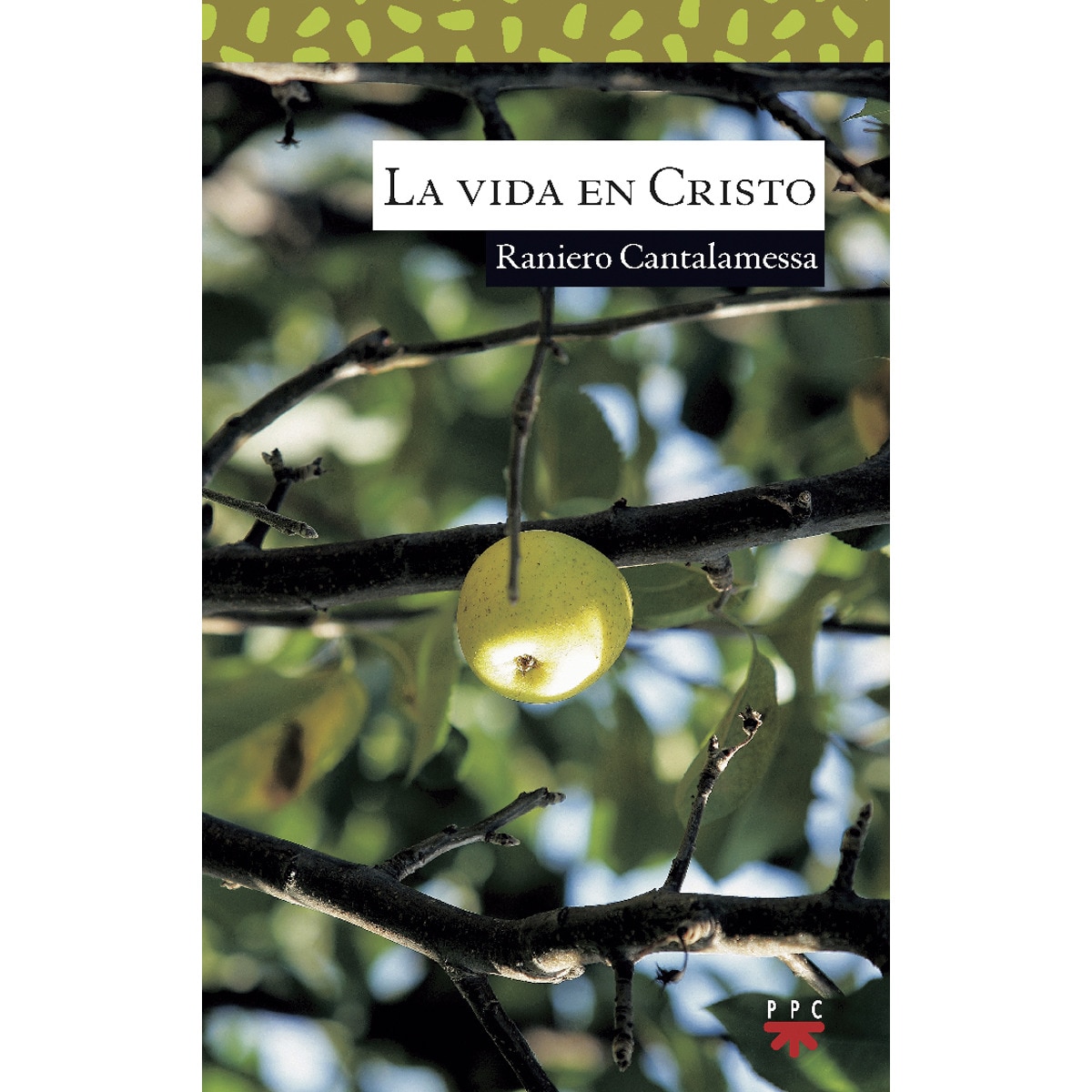 La vida en Cristo (Capa mole) 1