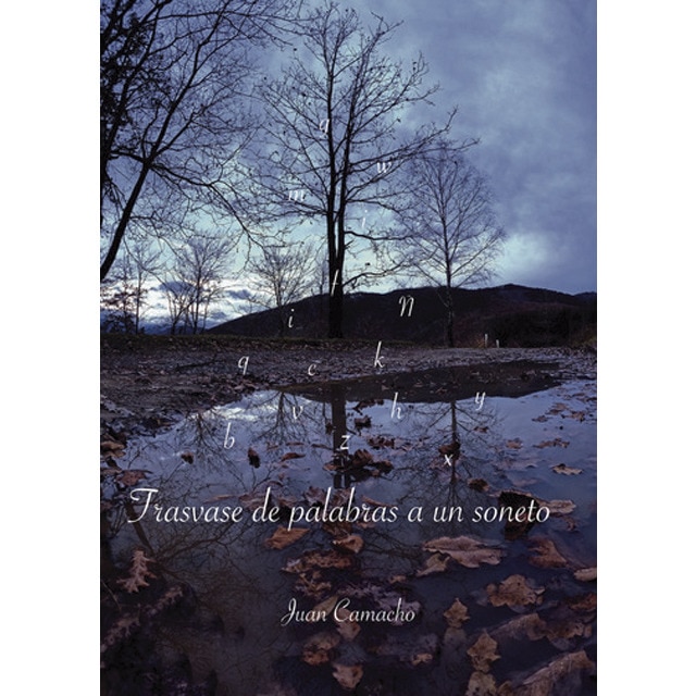 Trasvase de palabras a un soneto 1
