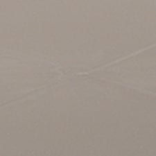 Taupe Taupe