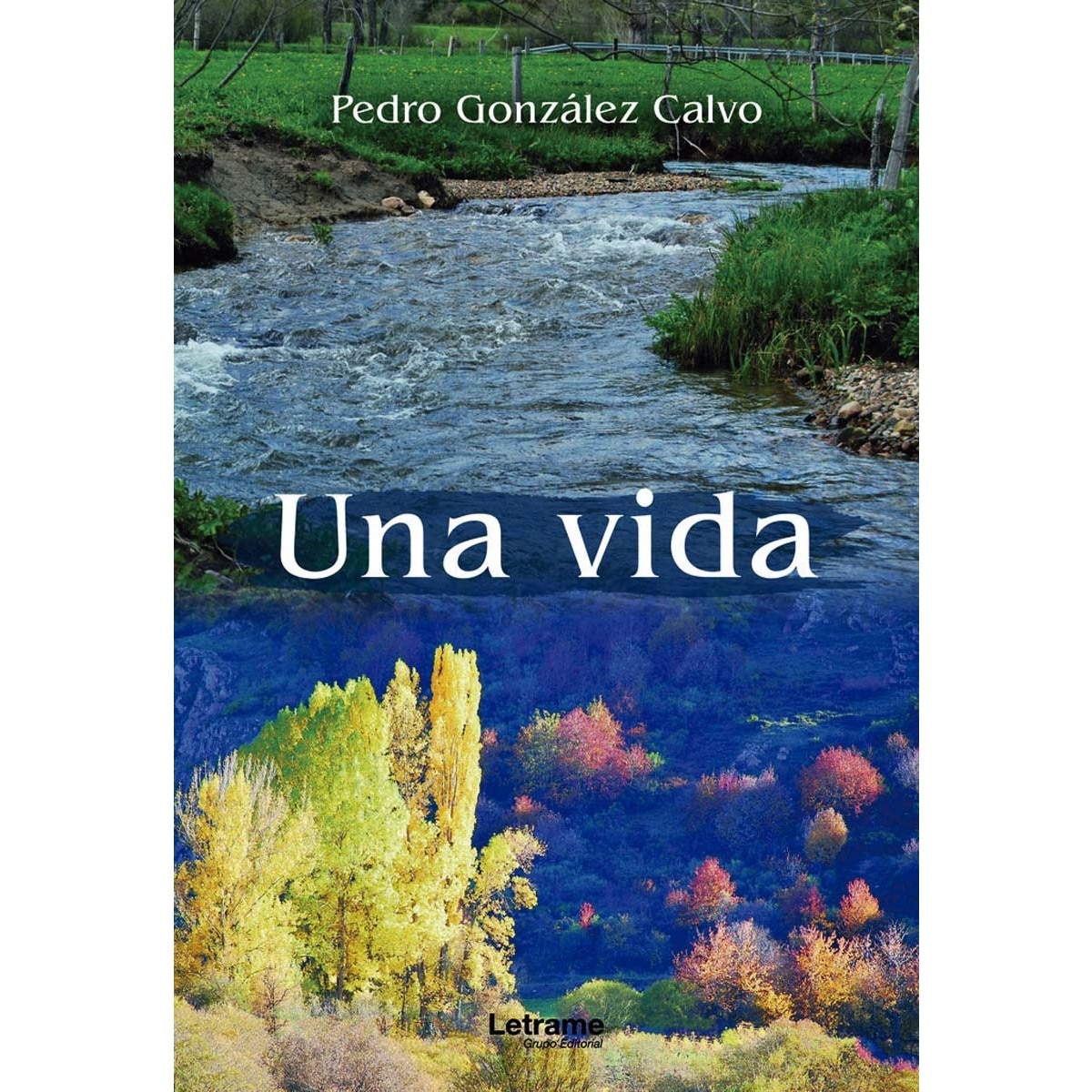 Una vida 1