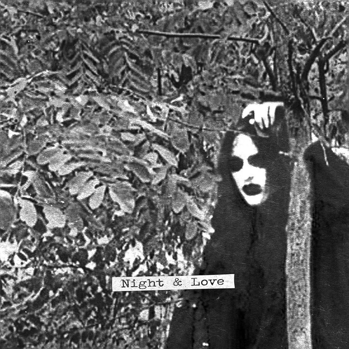 Imagem 0 de Night & love (LP-Vinil)