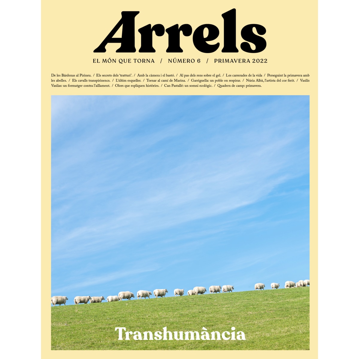 Arrels #6 1