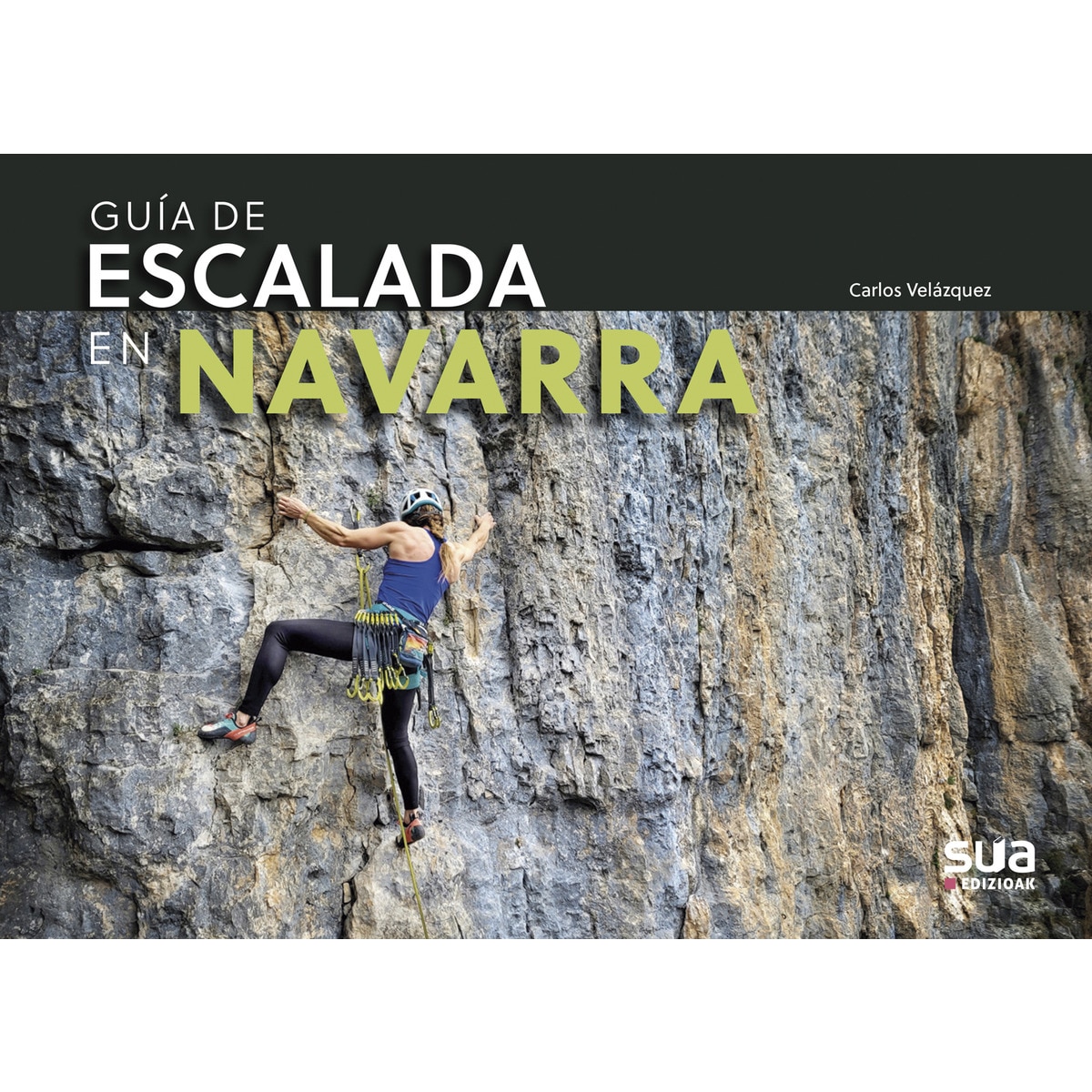 Imagen 0 de Guia de escalada en Navarra  (Tapa blanda)