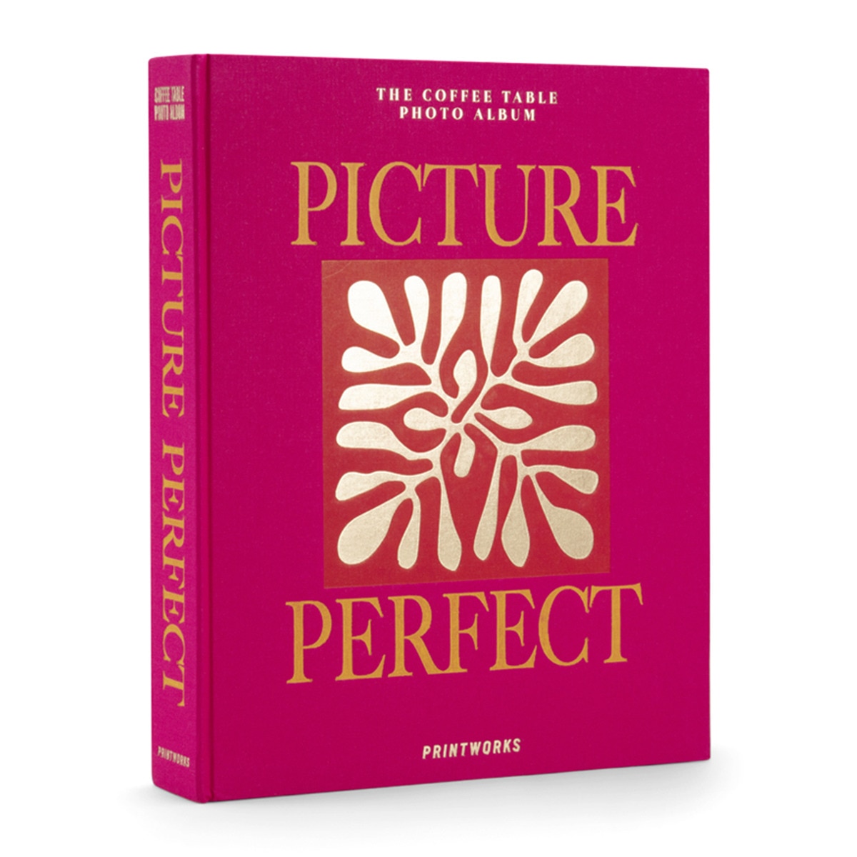 Imagem 0 de Álbum de Fotos Picture Perfect