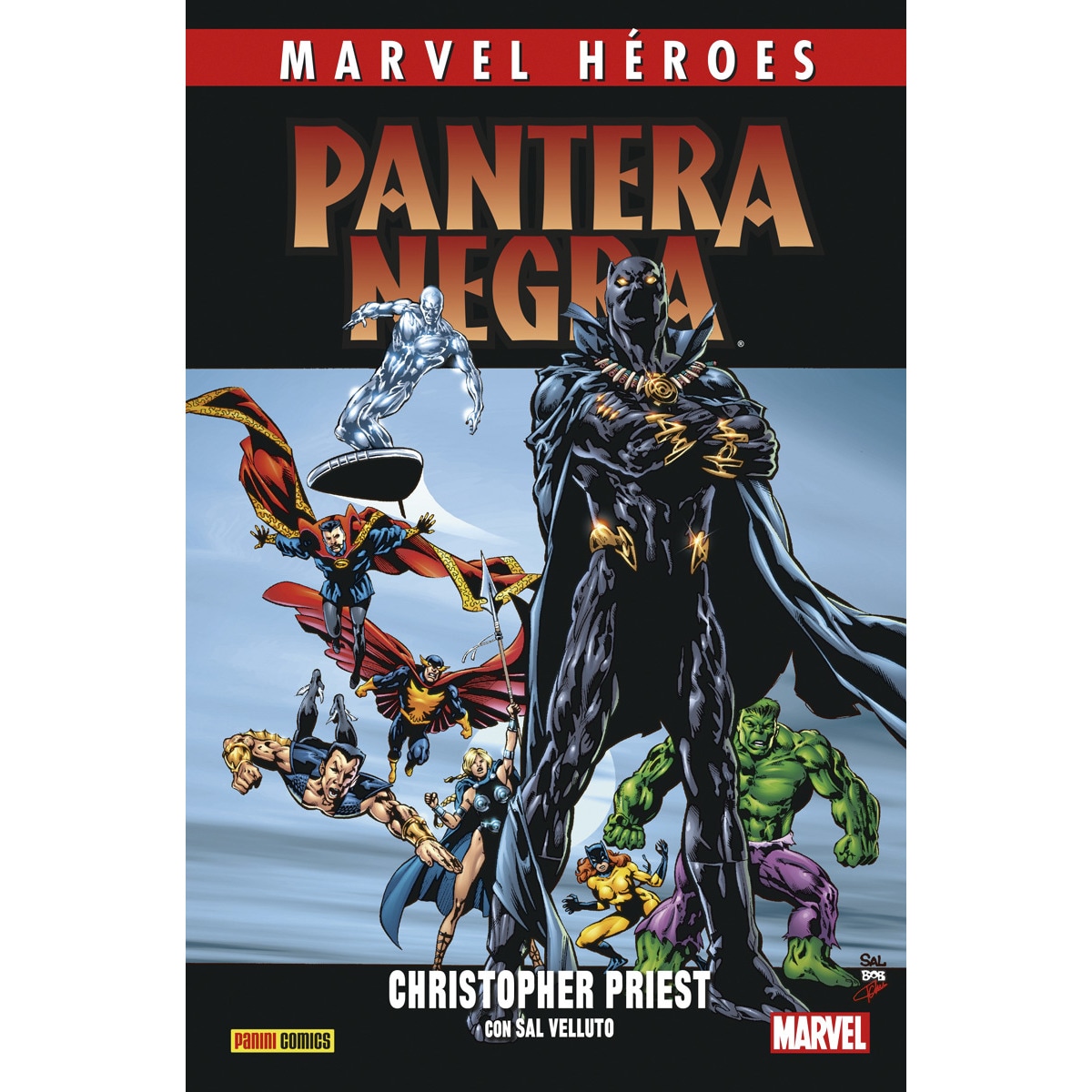 Marvel heroes 110 pantera negra 2 (Capa dura) 1