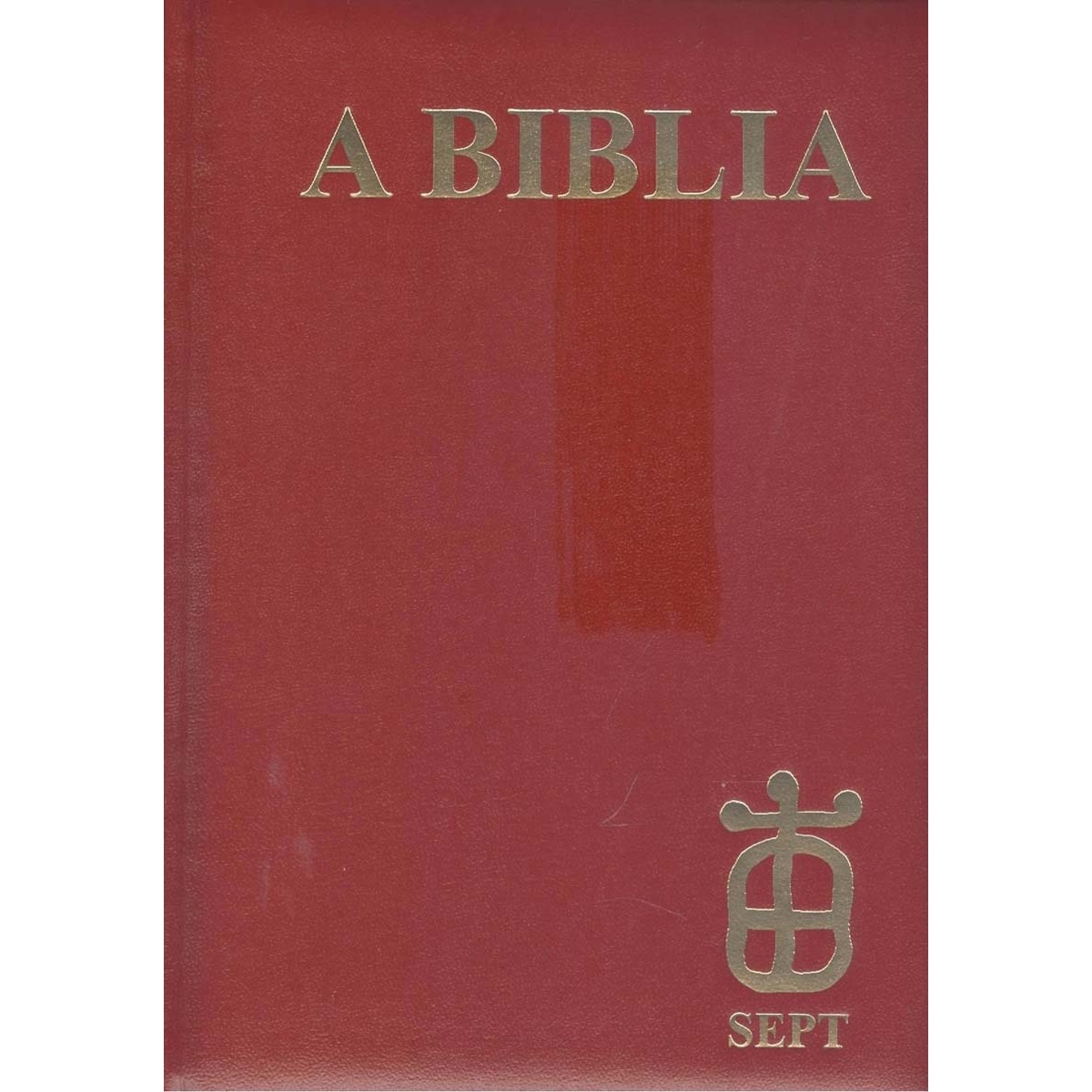 A biblia (Luxo) 1