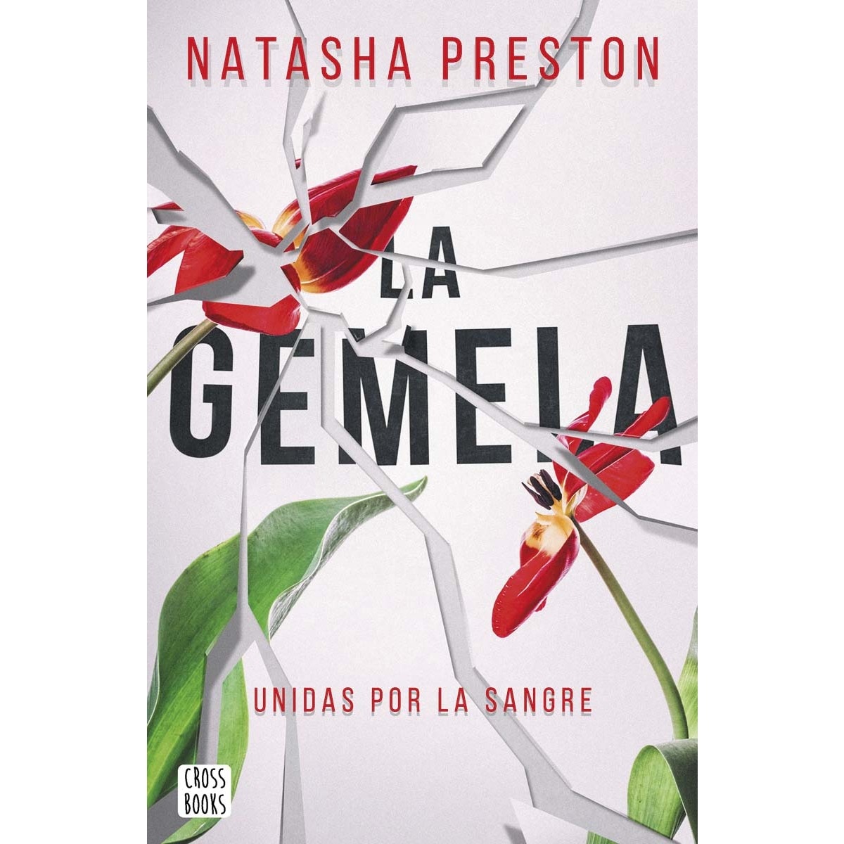 La gemela (Capa mole com abas) 1
