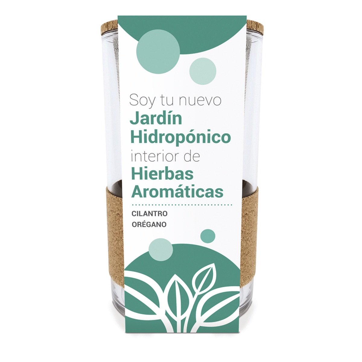 Cultivo Hidropónico Coentros e Orégãos 1