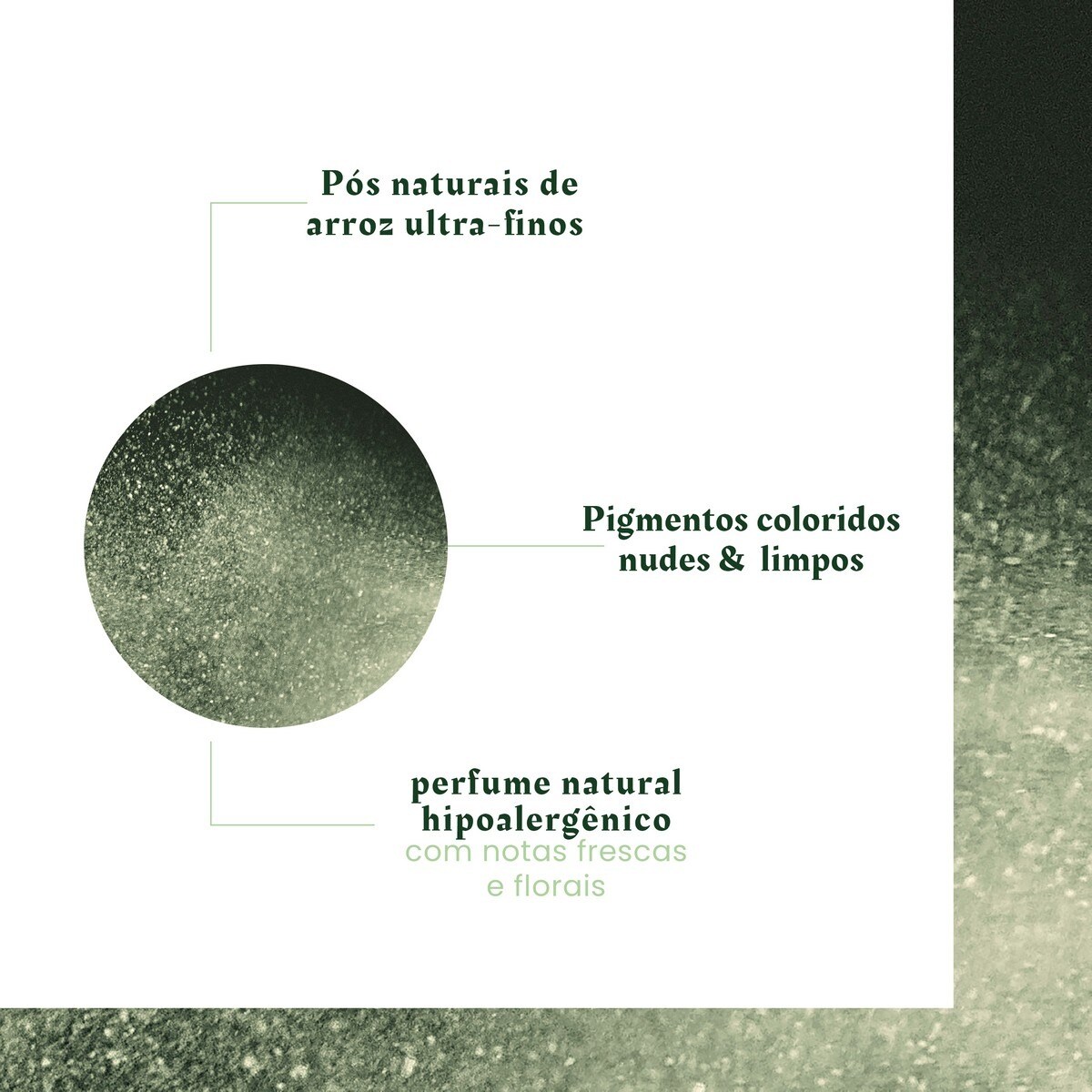 Champô Seco Naturia - 200 ml 7