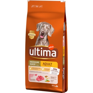 Medium Maxi Adult pienso para perros adultos medianos y grandes con buey saco 12 kg - Ultima