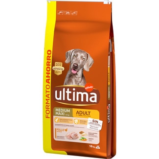 Medium Maxi Adult pienso para perros adultos medianos y grandes con pollo saco 18 kg - Ultima