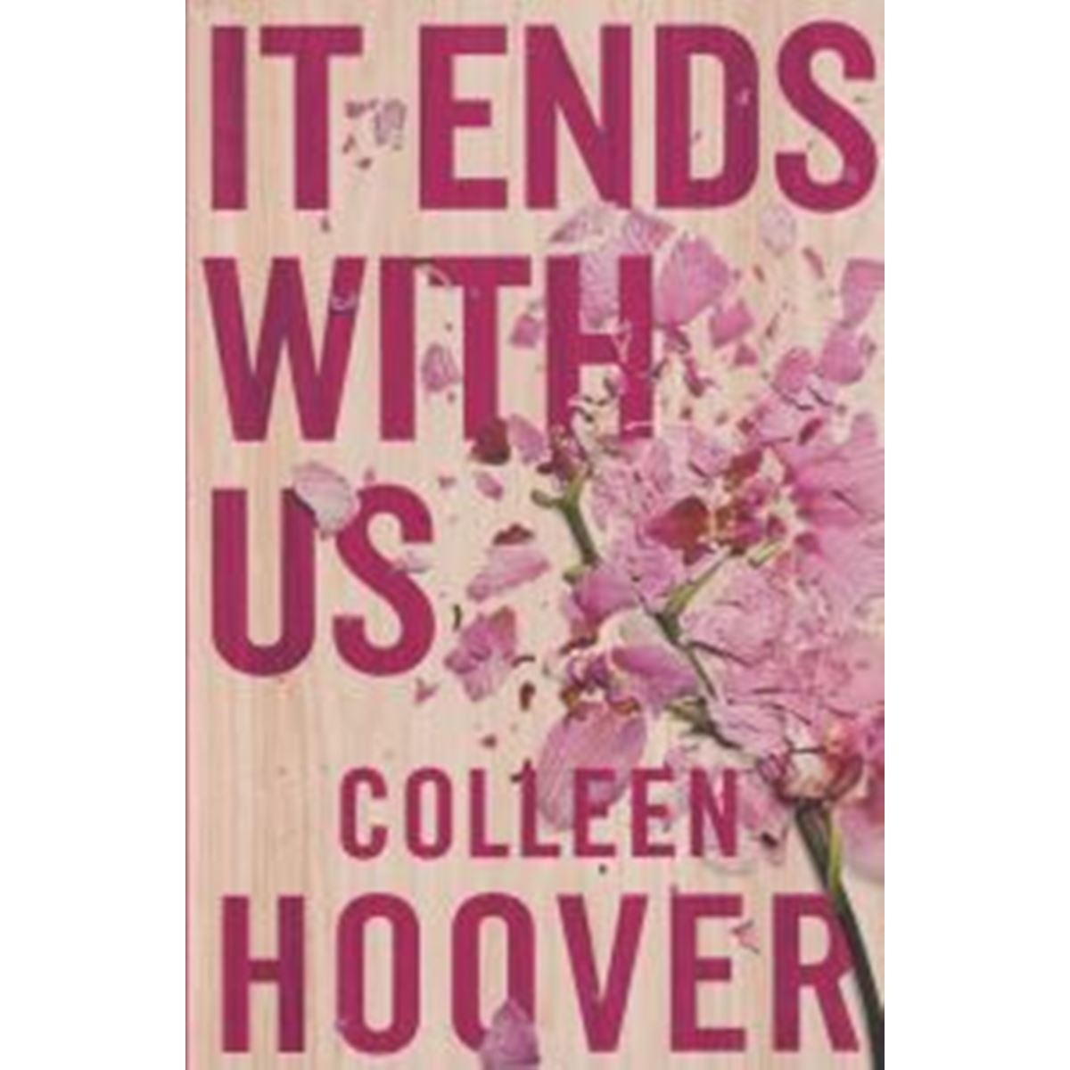 IT ENDS WITH US 1