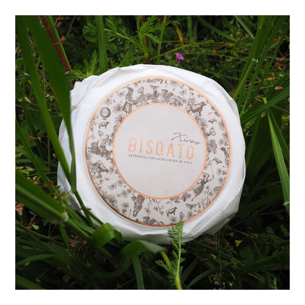 Queso artesano gallego de leche cruda de vaca Xiros de Bisqato 2