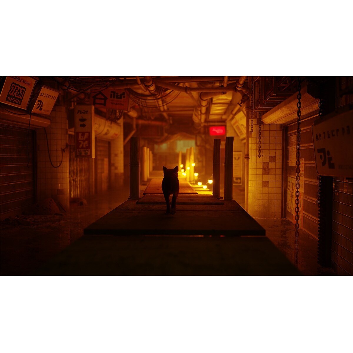 Stray - PlayStation 5 6