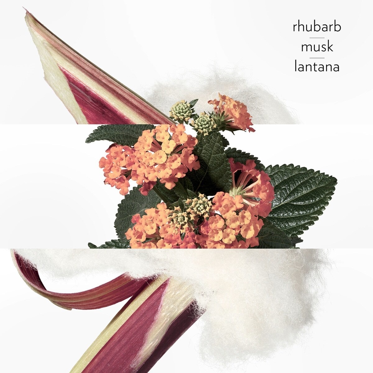 Eau de Rhubarbe Écarlate Eau de Cologne 3