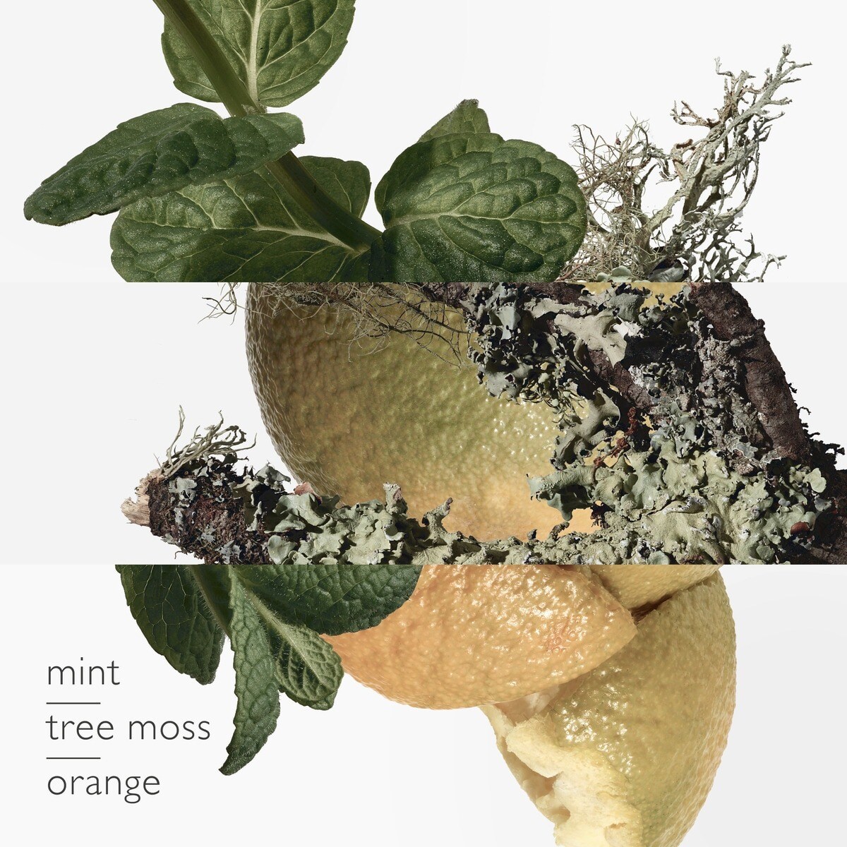 Eau d'Orange Verte Eau de Cologne 2