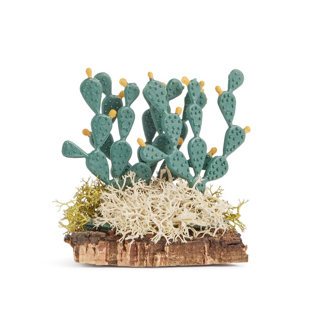 Imagen 0 de Chumberas y pitas modelos surtidos Navidad El Corte Inglés