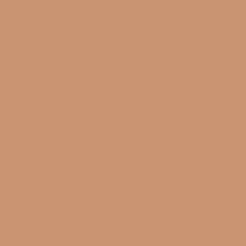 4N NEUTRAL