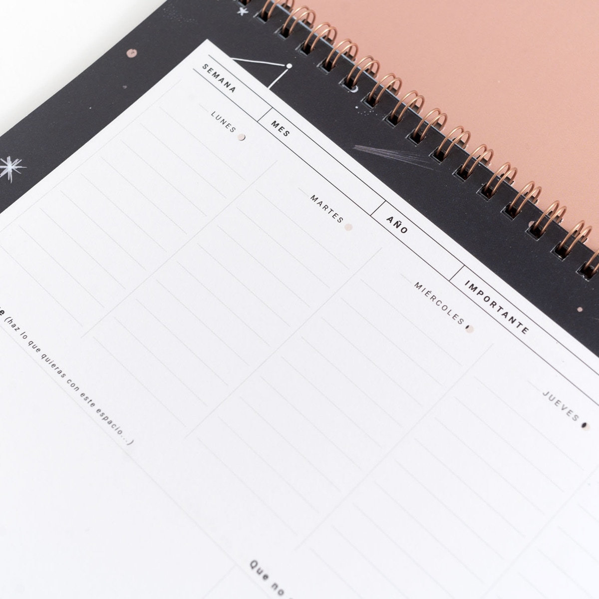 Organizador semanal Lua. Preto Preto-5