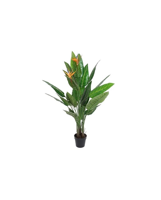 Imagen 0 de Planta PVC