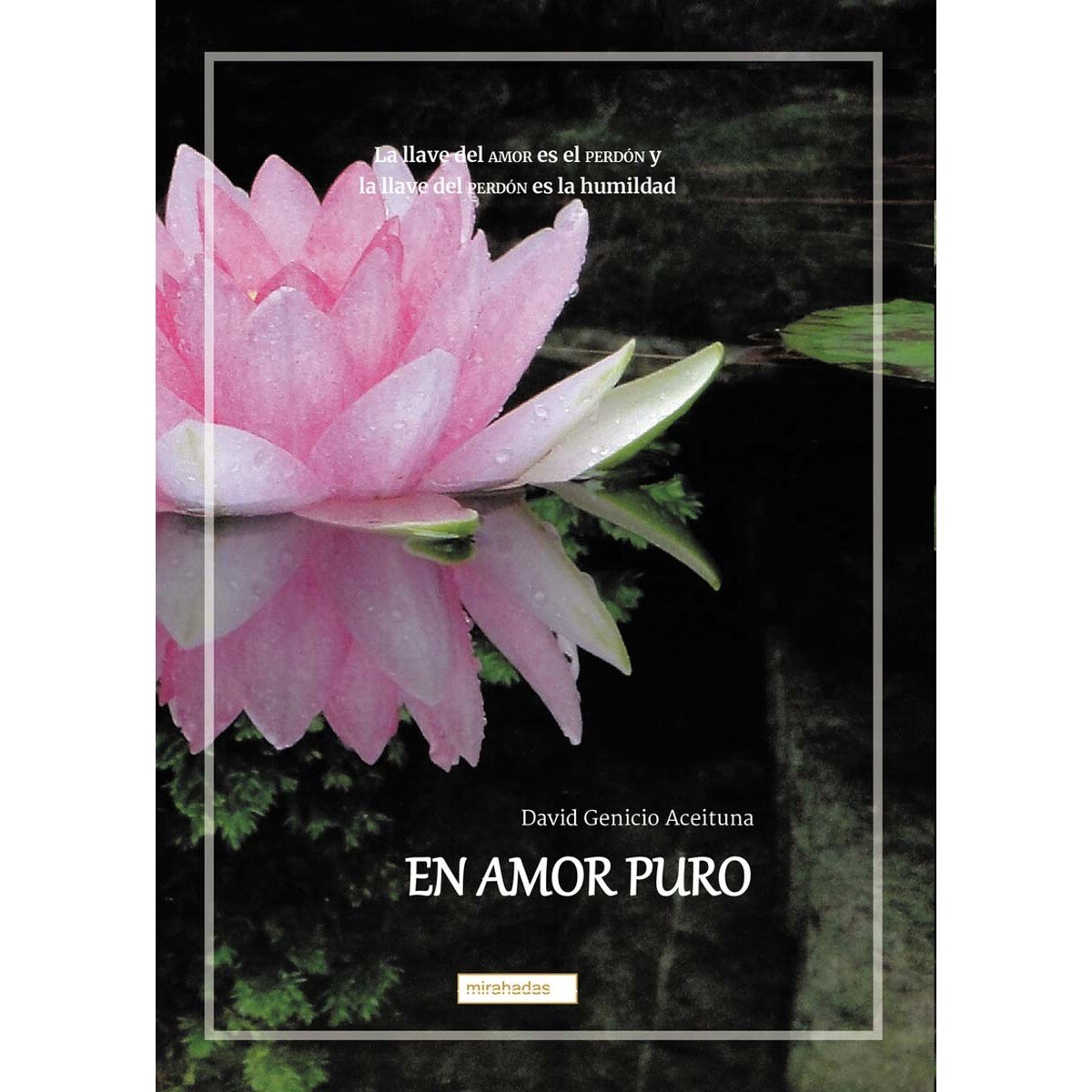 En amor puro (Capa mole com abas) 1