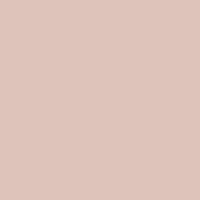 02 Camellia