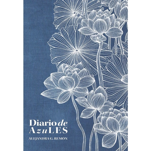 Imagem 0 de Diario de AzuLES