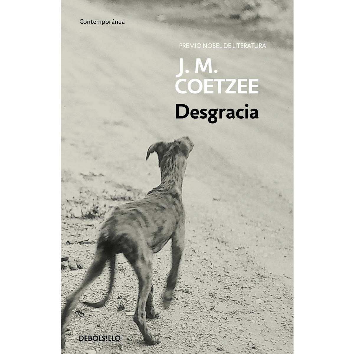 Desgracia (Bolsillo) (Tapa blanda) 1