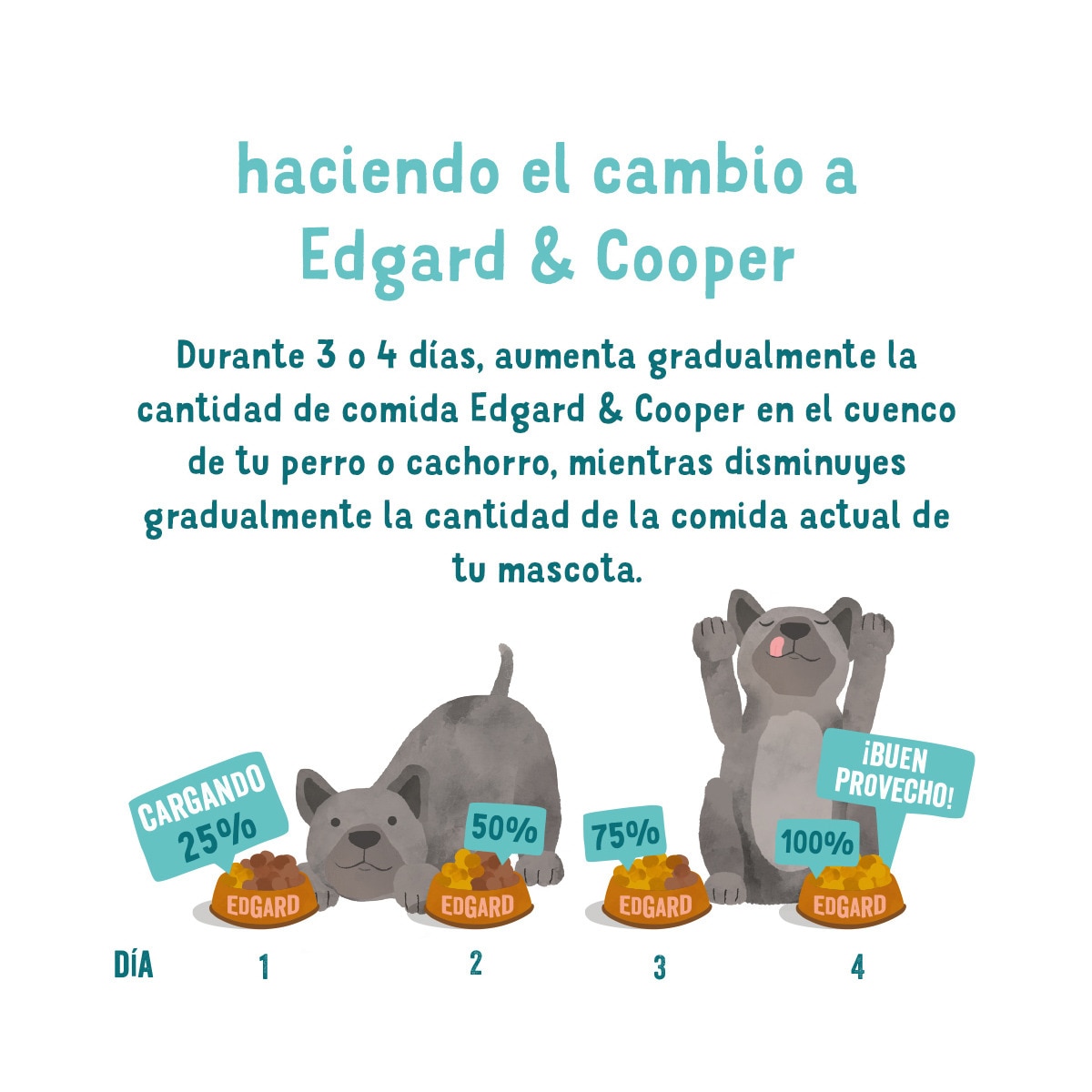 Comida húmeda para perros adultos Edgard & Cooper grain free paté cordero y vaca 4