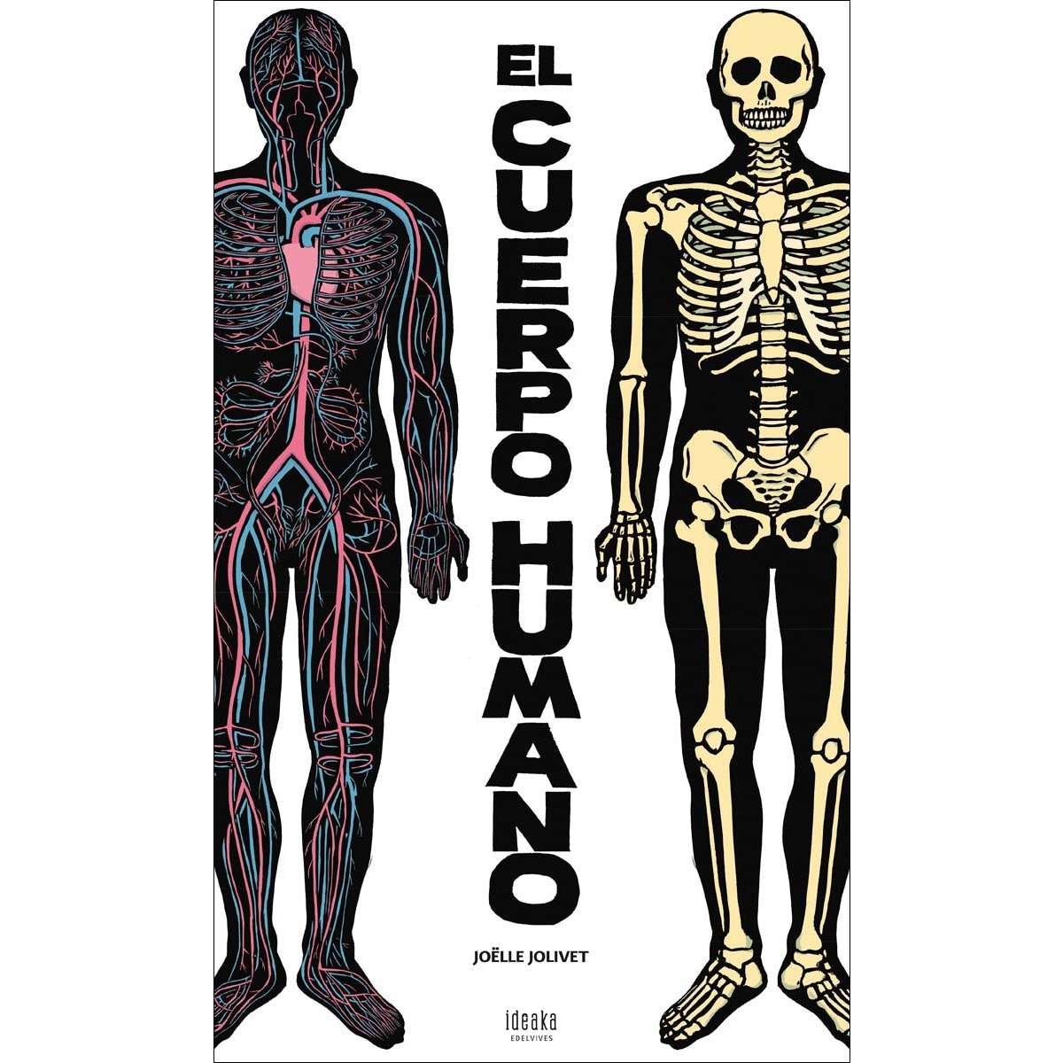 El cuerpo humano 1