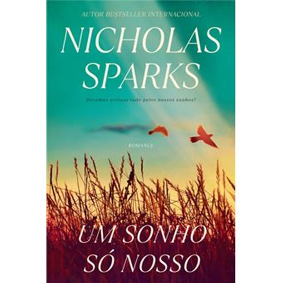 Um Sonho Só Nosso 1