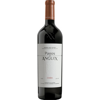 Costalara vino tinto tempranillo crianza DO Ribera del Duero botella 75 cl - Pagos De Anguix