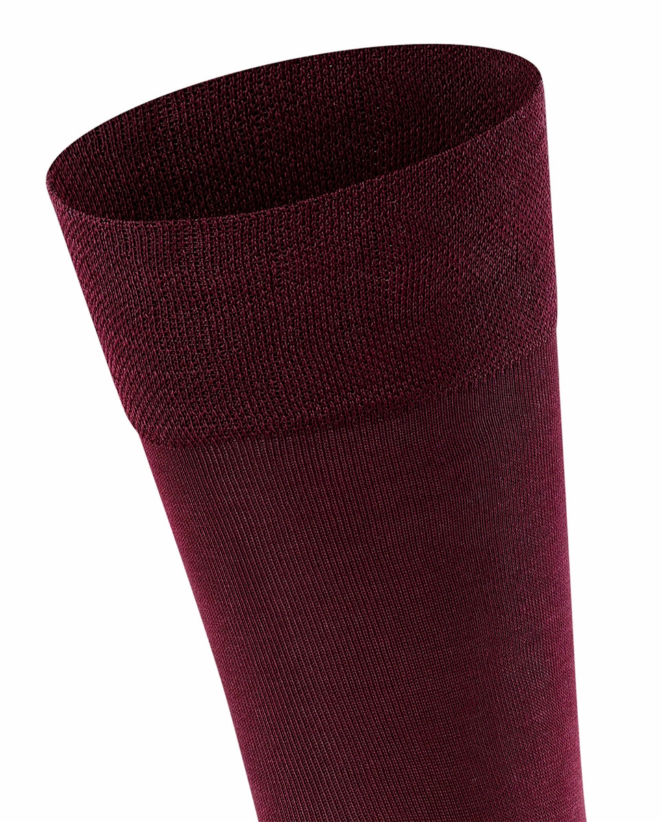 Imagen 5 de Souquet liso sensitive algodón orgánico - Falke - Rojo Rojo