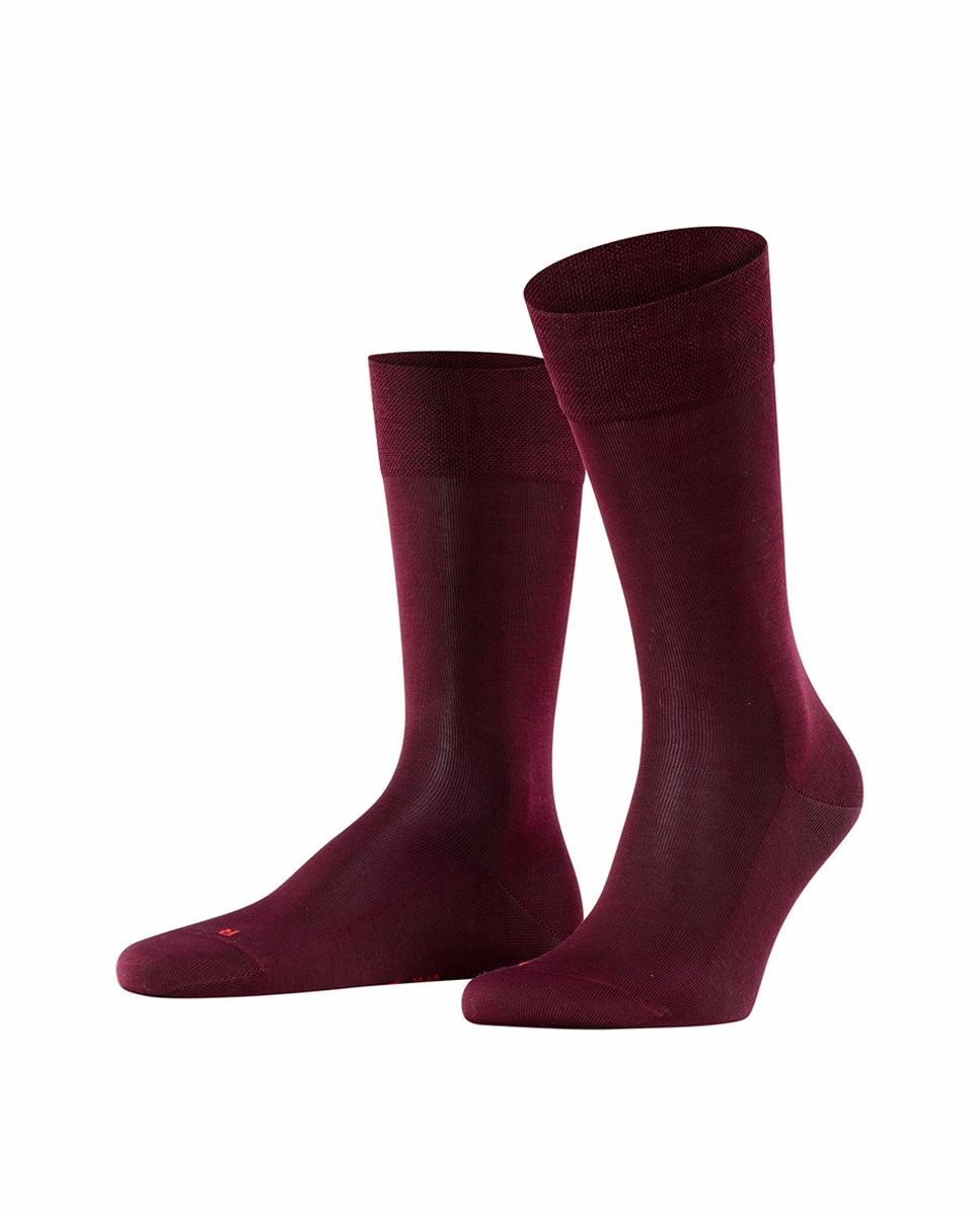 Imagen 2 de Souquet liso sensitive algodón orgánico - Falke - Rojo Rojo