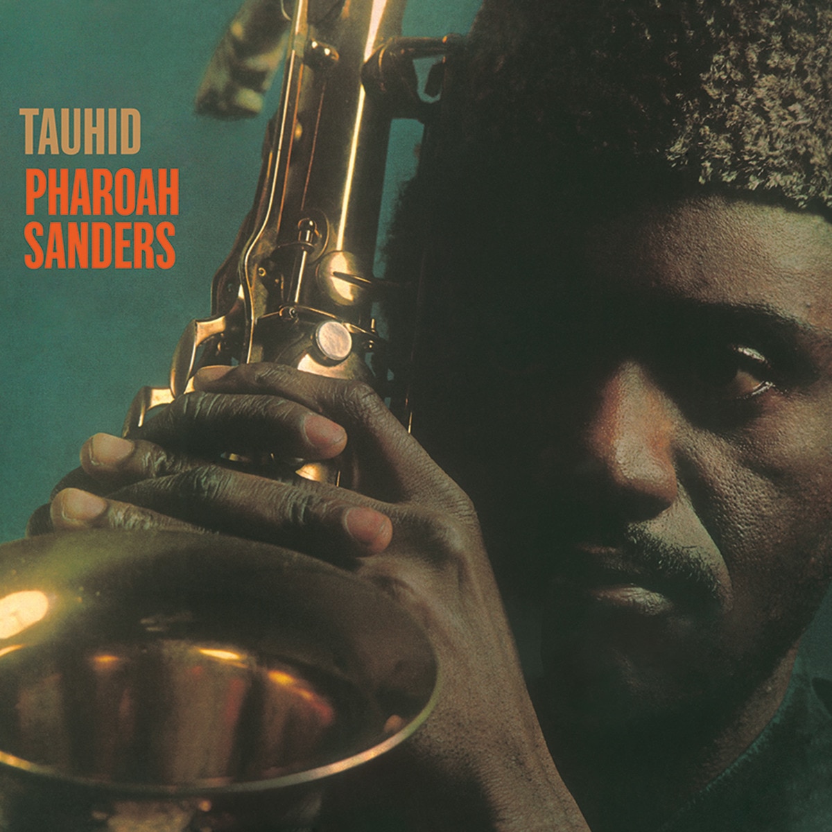 Imagen 0 de Tauhid (LP-Vinilo)